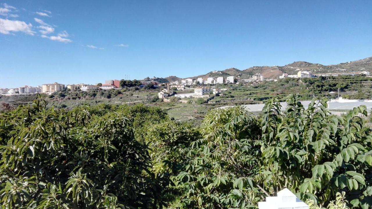 马拉加Casa Paloma Blanca别墅 外观 照片