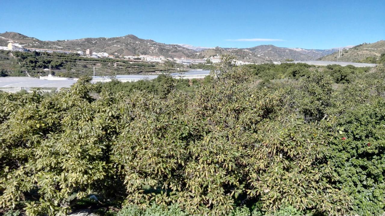 马拉加Casa Paloma Blanca别墅 外观 照片